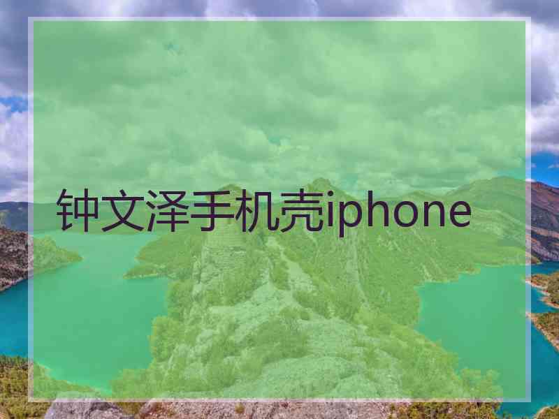 钟文泽手机壳iphone