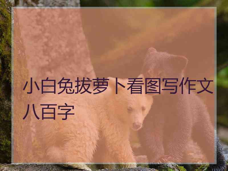 小白兔拔萝卜看图写作文八百字