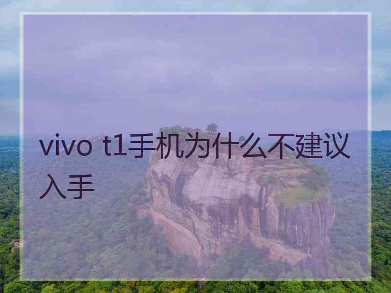 vivo t1手机为什么不建议入手