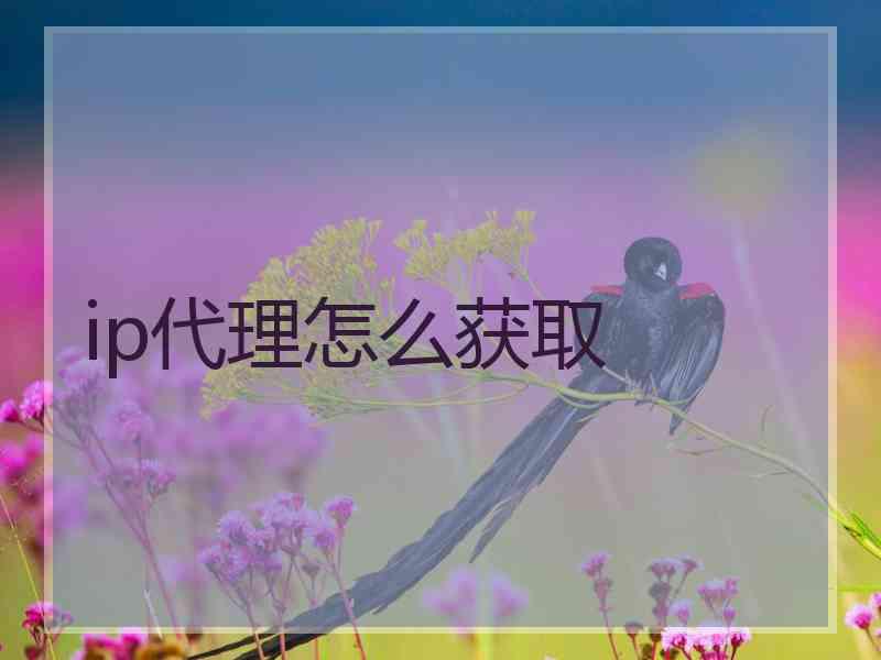 ip代理怎么获取