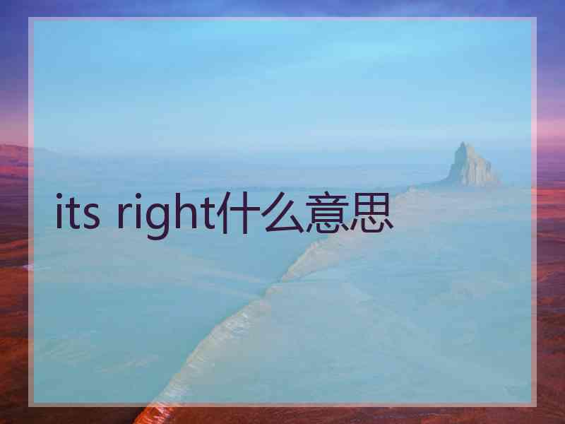 its right什么意思