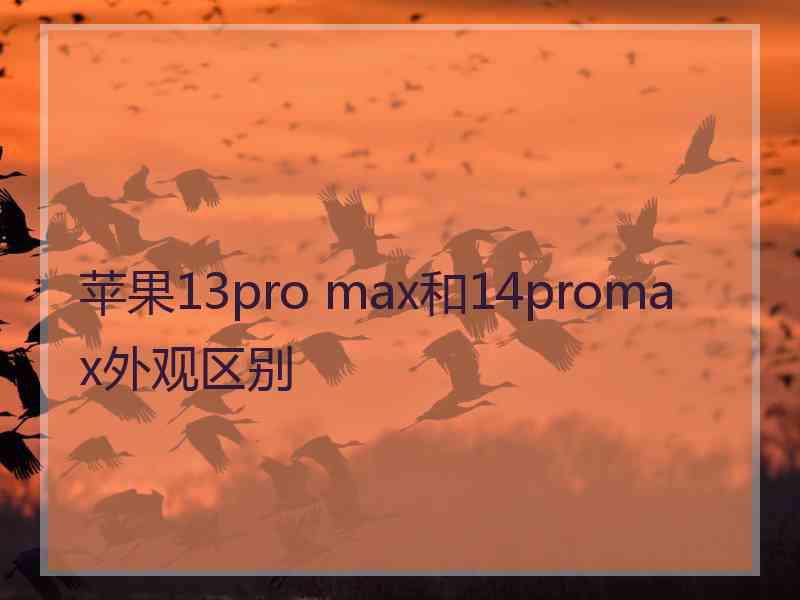 苹果13pro max和14promax外观区别