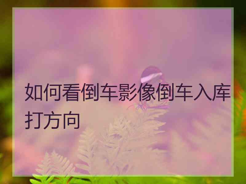 如何看倒车影像倒车入库打方向