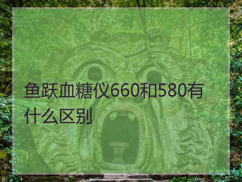 鱼跃血糖仪660和580有什么区别