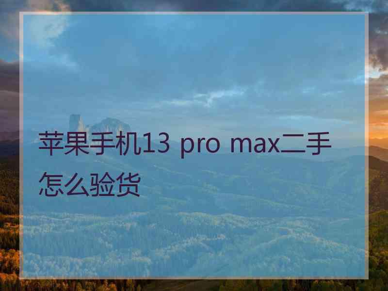 苹果手机13 pro max二手怎么验货