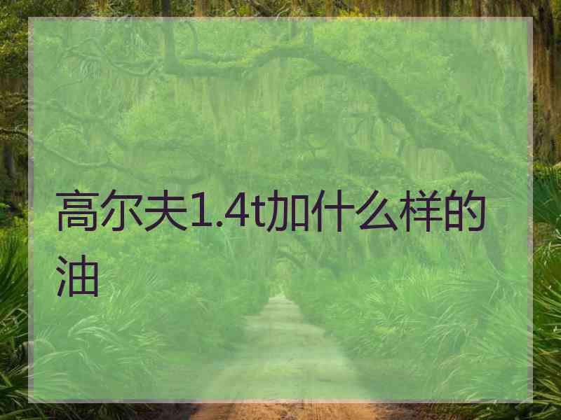 高尔夫1.4t加什么样的油