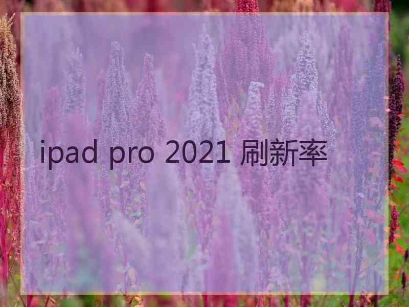 ipad pro 2021 刷新率