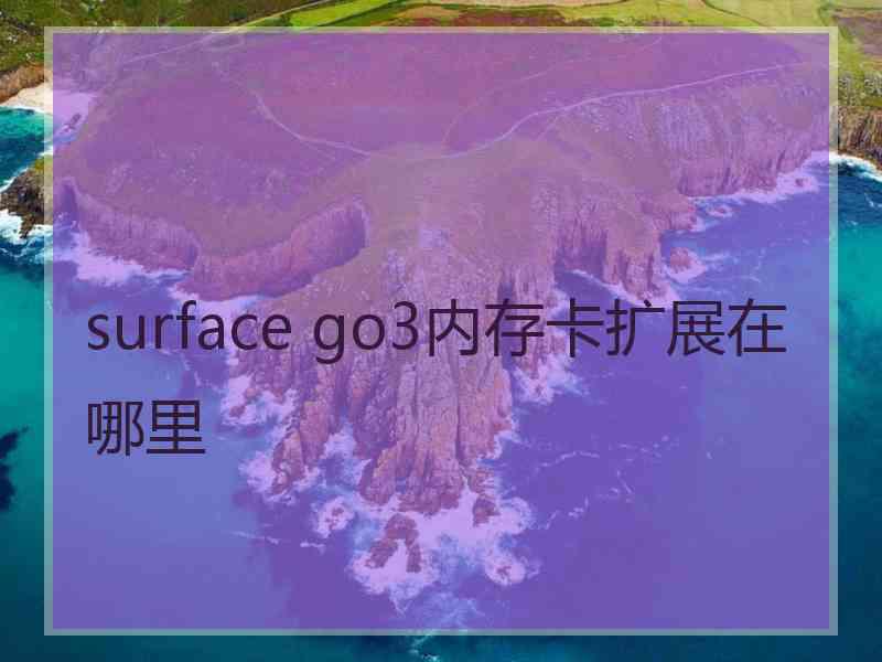 surface go3内存卡扩展在哪里