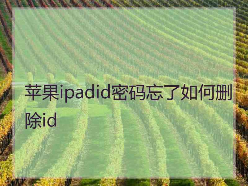 苹果ipadid密码忘了如何删除id