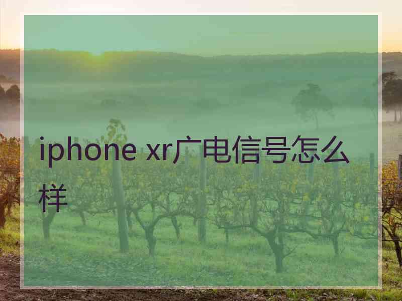 iphone xr广电信号怎么样