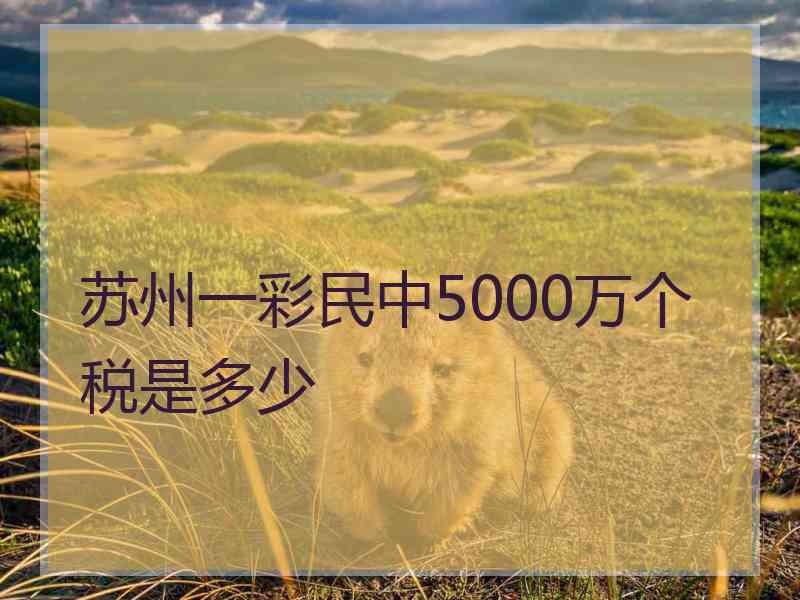 苏州一彩民中5000万个税是多少