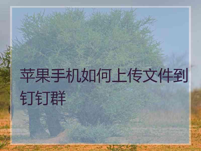 苹果手机如何上传文件到钉钉群