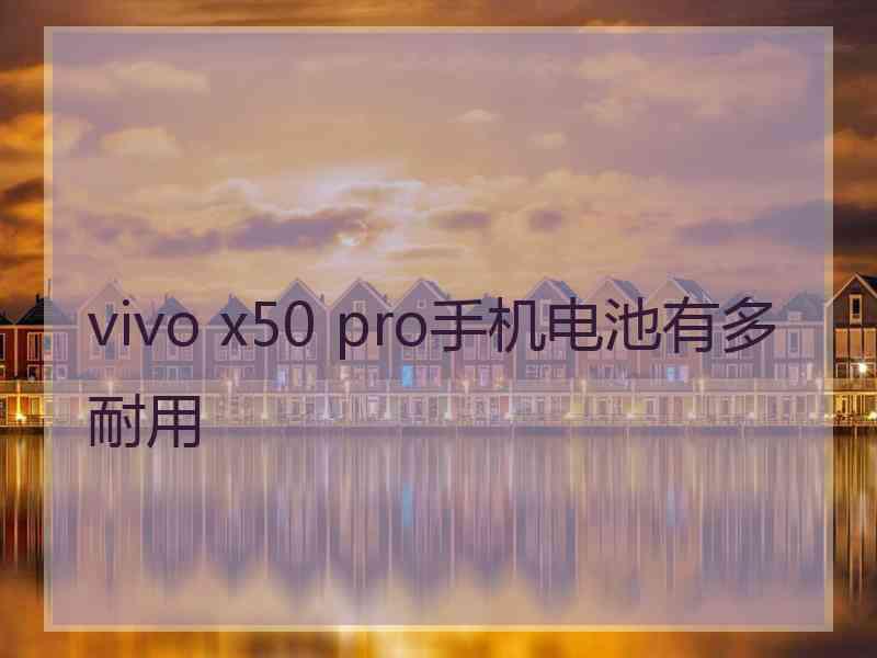 vivo x50 pro手机电池有多耐用