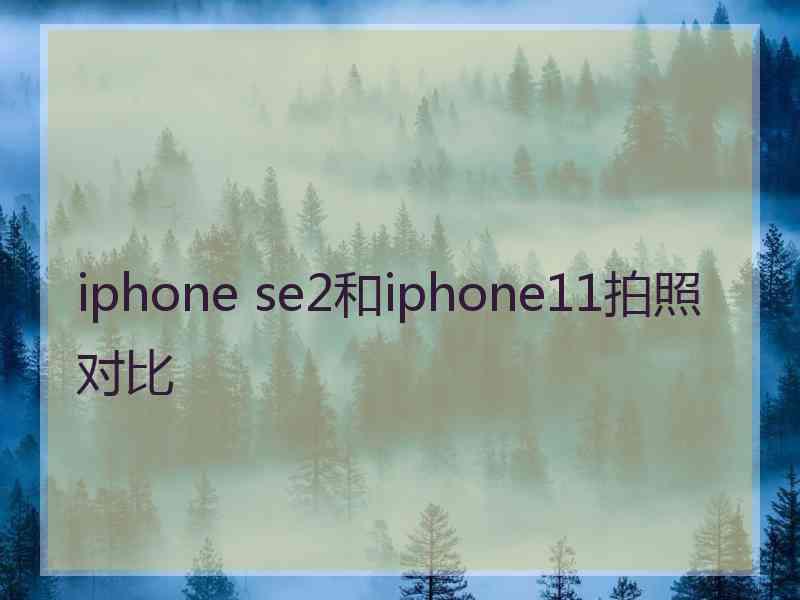 iphone se2和iphone11拍照对比