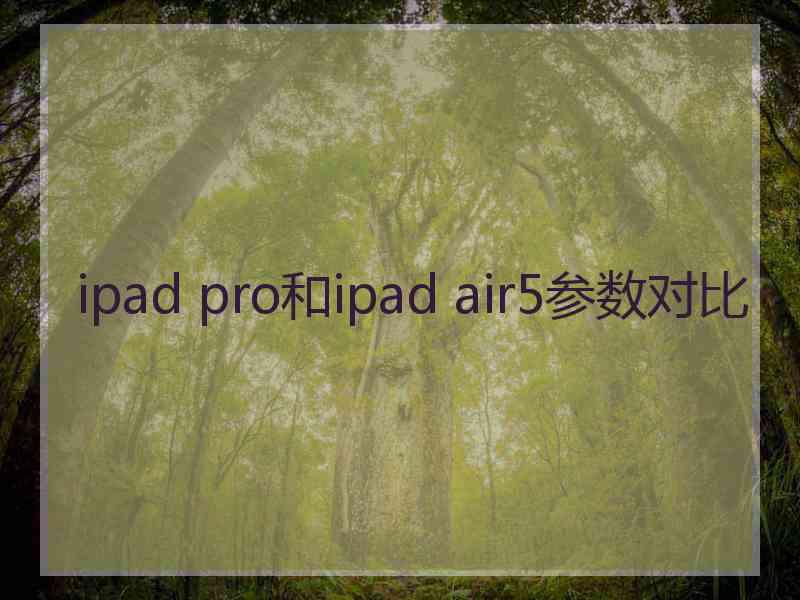 ipad pro和ipad air5参数对比