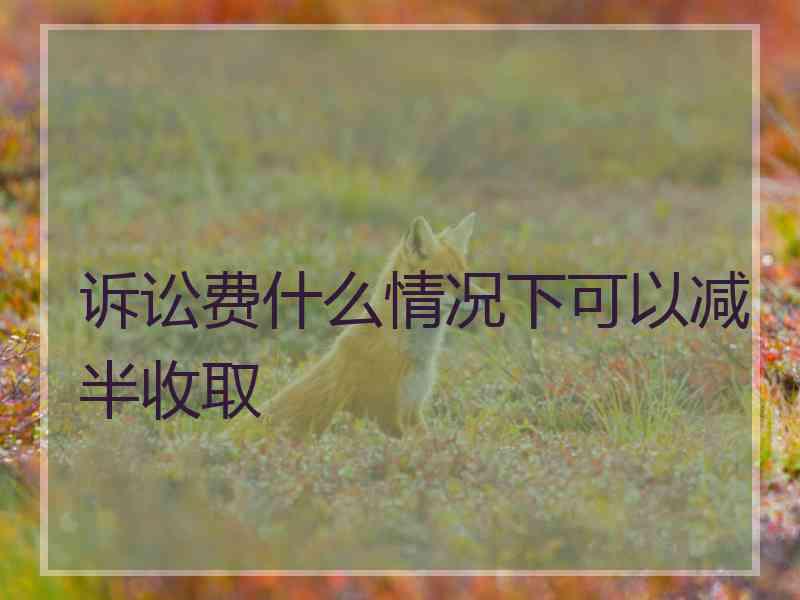 诉讼费什么情况下可以减半收取