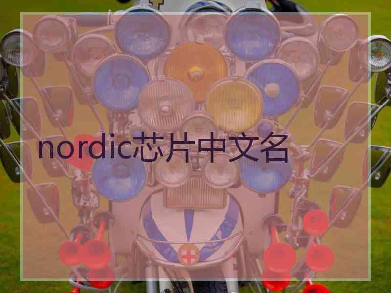 nordic芯片中文名