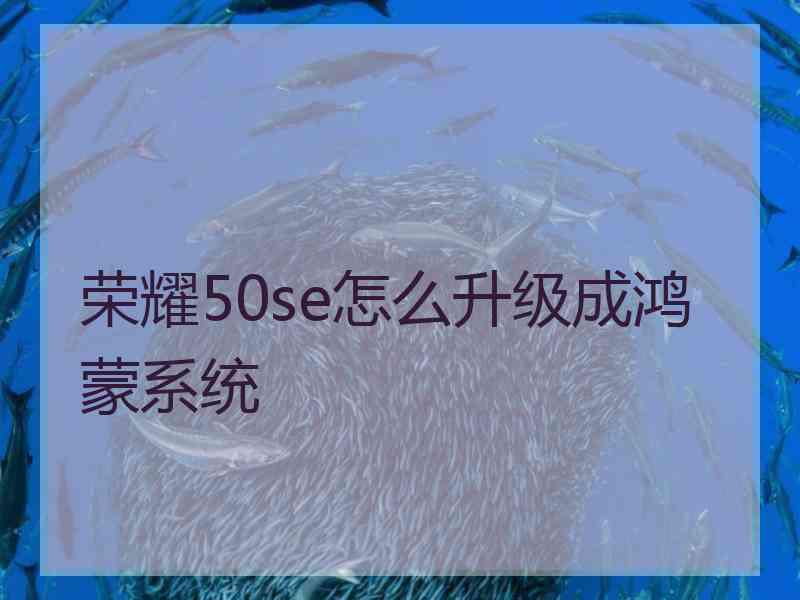 荣耀50se怎么升级成鸿蒙系统