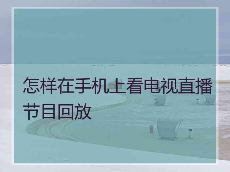 怎样在手机上看电视直播节目回放