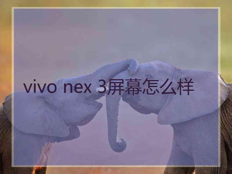 vivo nex 3屏幕怎么样