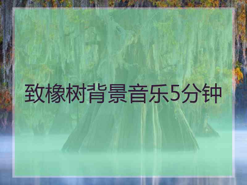 致橡树背景音乐5分钟