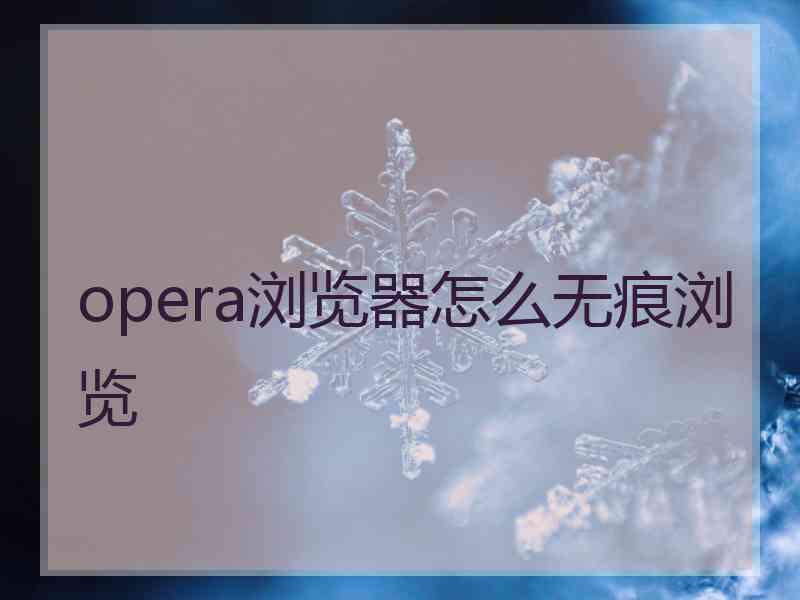 opera浏览器怎么无痕浏览