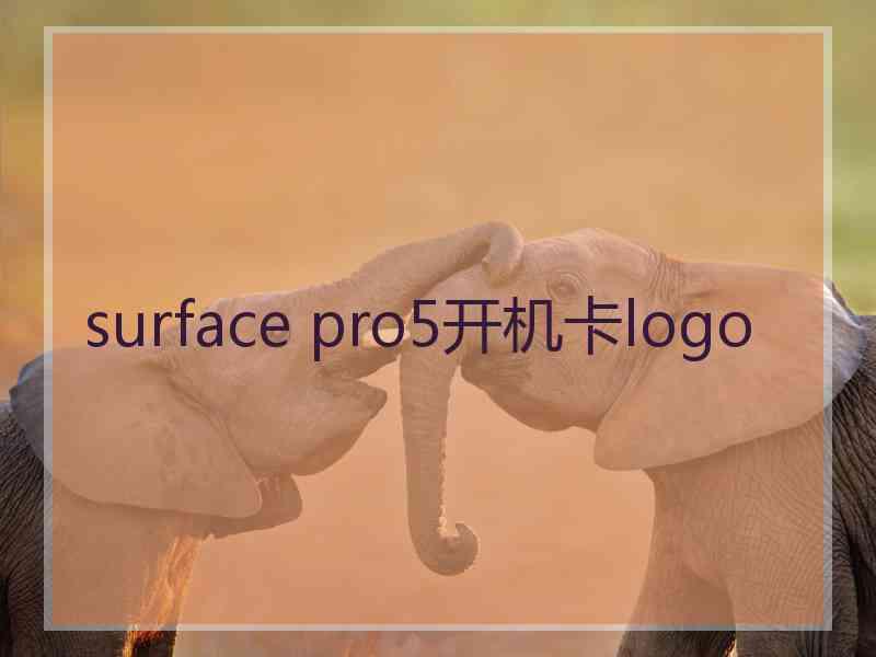 surface pro5开机卡logo