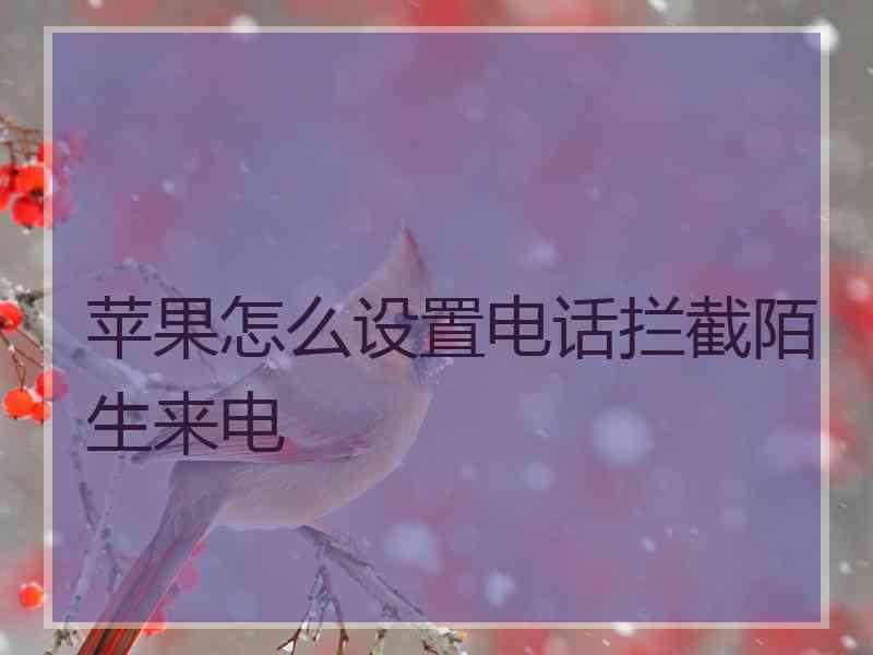 苹果怎么设置电话拦截陌生来电