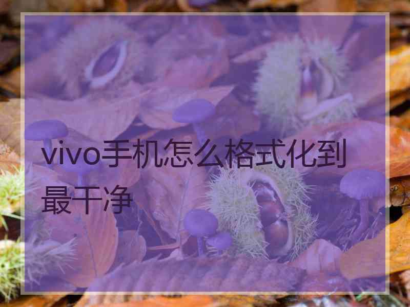 vivo手机怎么格式化到最干净