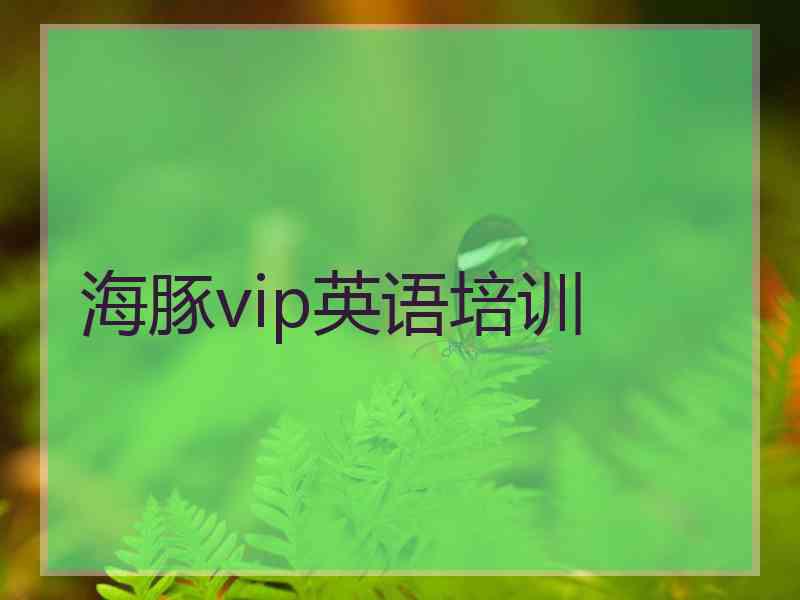 海豚vip英语培训