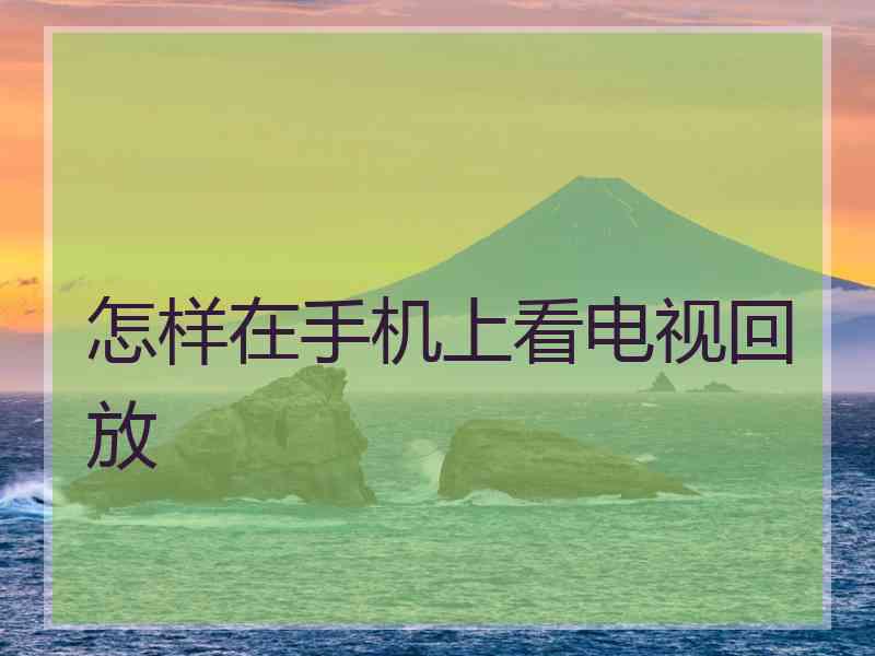 怎样在手机上看电视回放