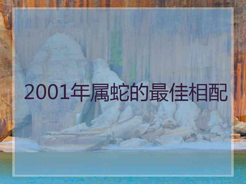 2001年属蛇的最佳相配