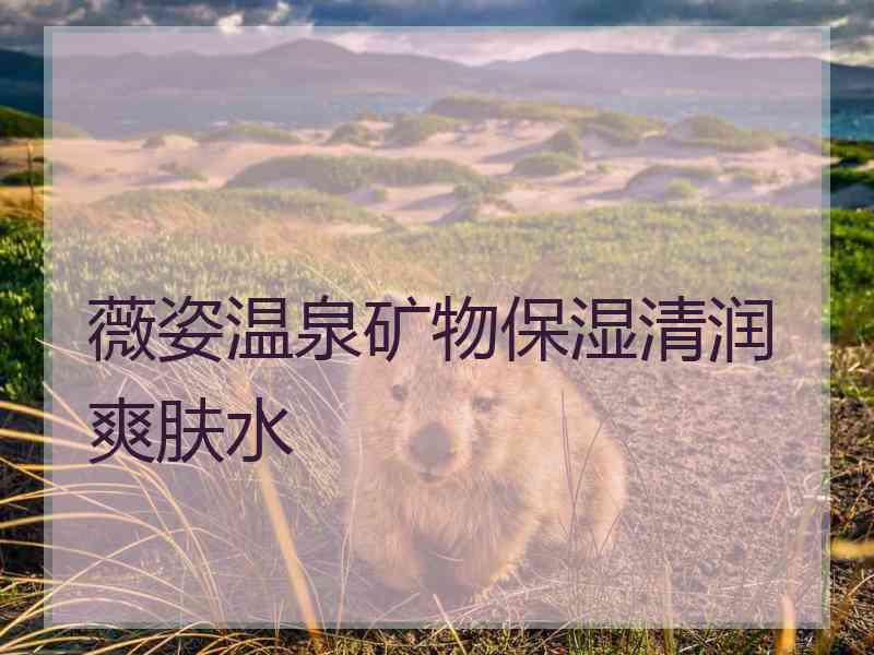 薇姿温泉矿物保湿清润爽肤水