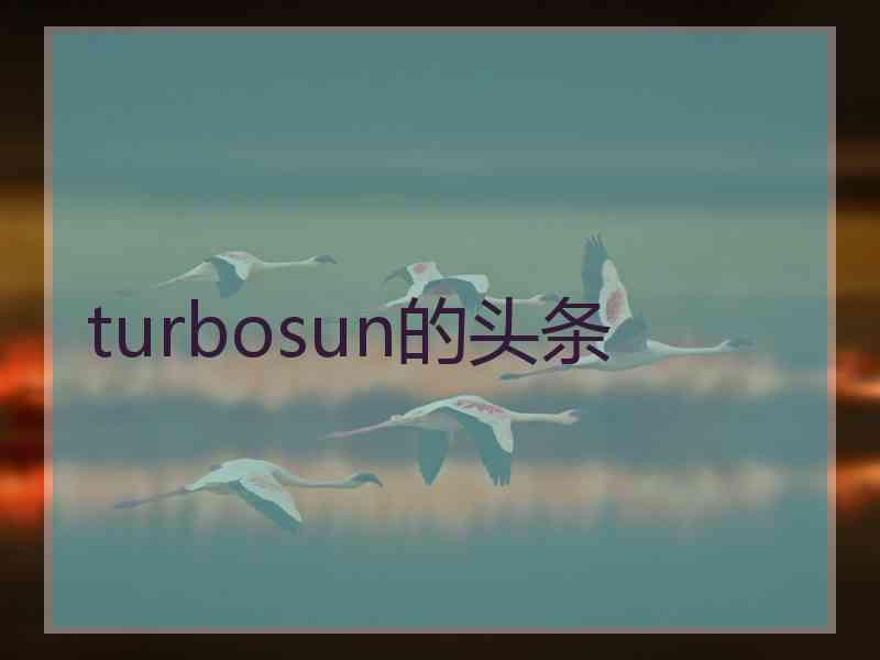 turbosun的头条