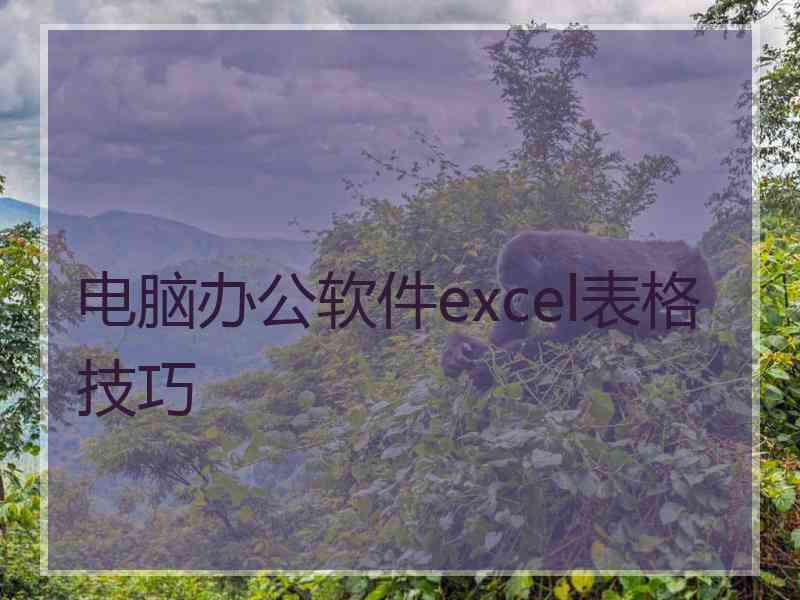 电脑办公软件excel表格技巧