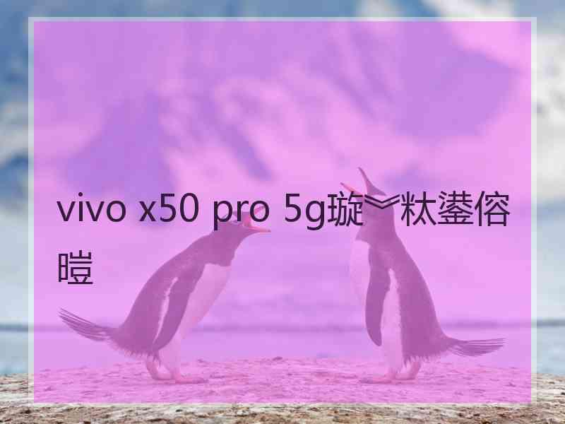 vivo x50 pro 5g璇︾粏鍙傛暟