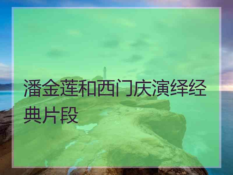 潘金莲和西门庆演绎经典片段