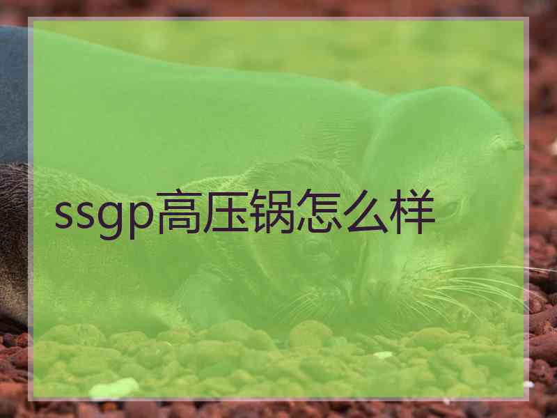 ssgp高压锅怎么样