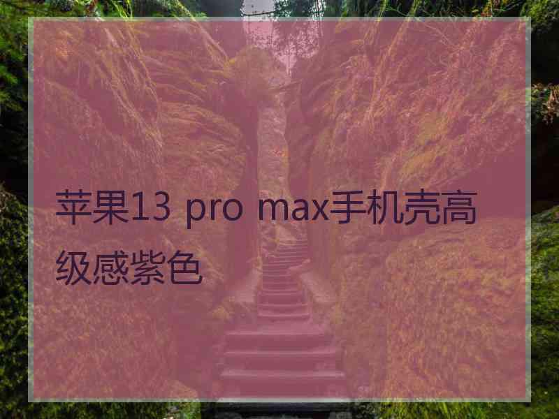 苹果13 pro max手机壳高级感紫色