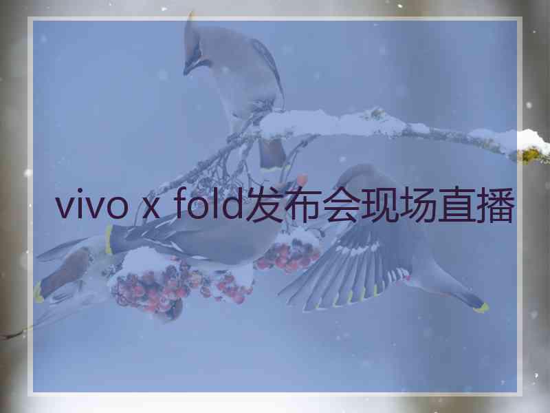 vivo x fold发布会现场直播