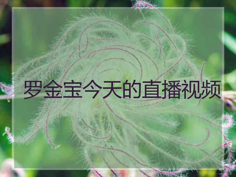 罗金宝今天的直播视频