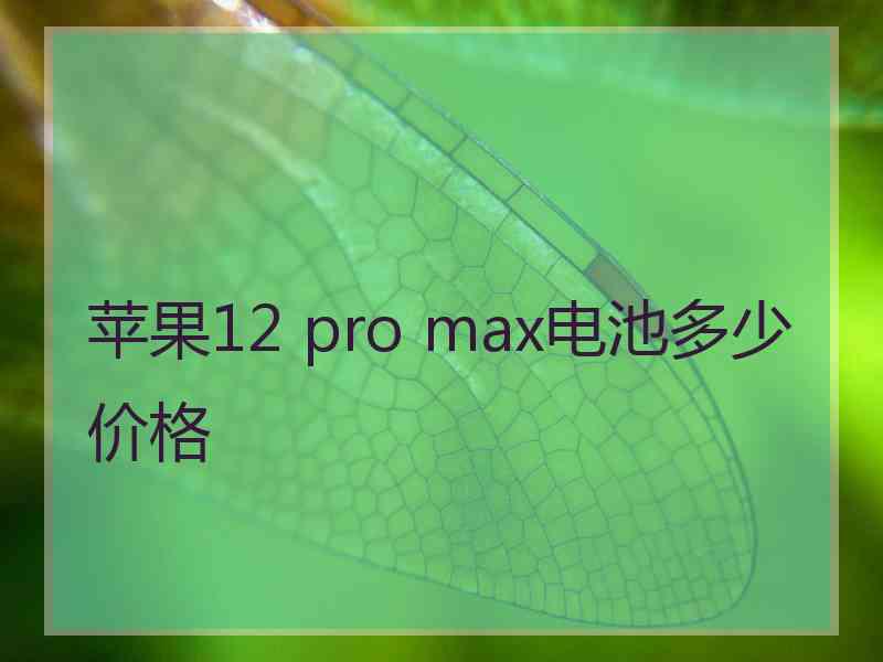 苹果12 pro max电池多少价格