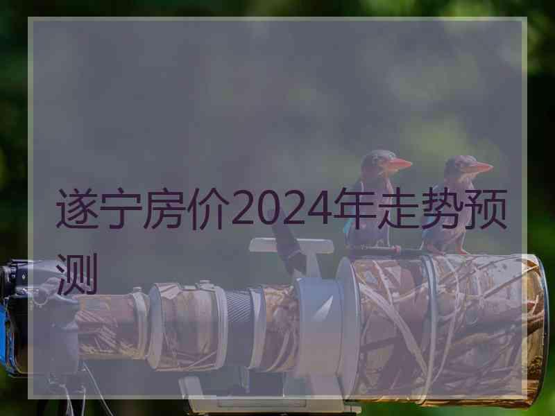 遂宁房价2024年走势预测