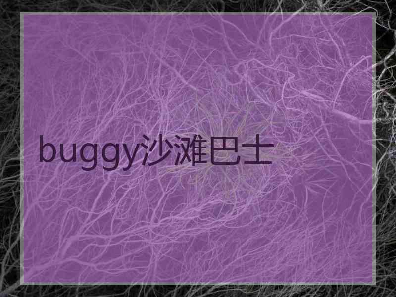 buggy沙滩巴士