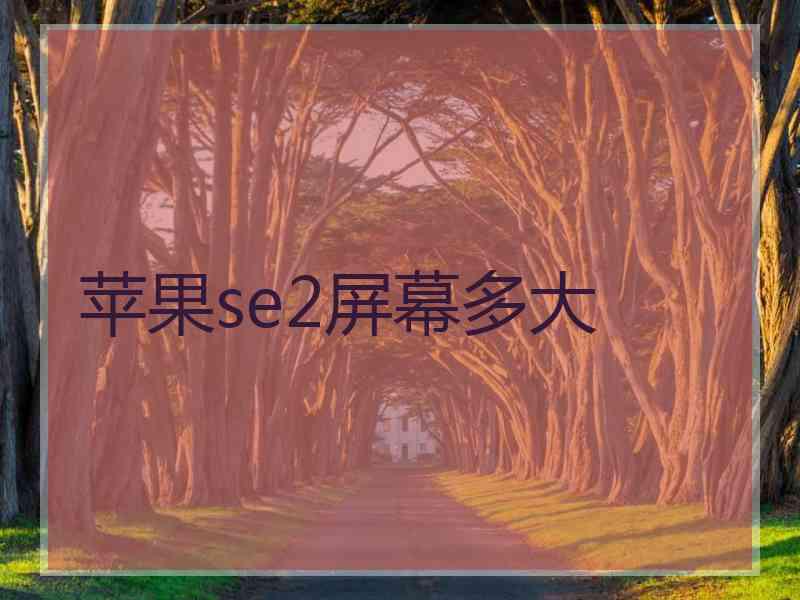 苹果se2屏幕多大