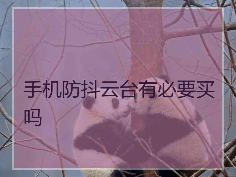 手机防抖云台有必要买吗