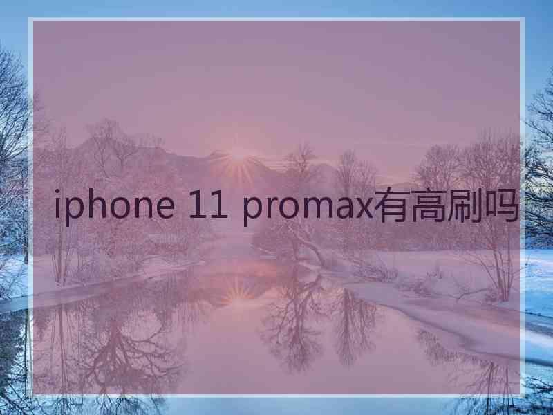 iphone 11 promax有高刷吗