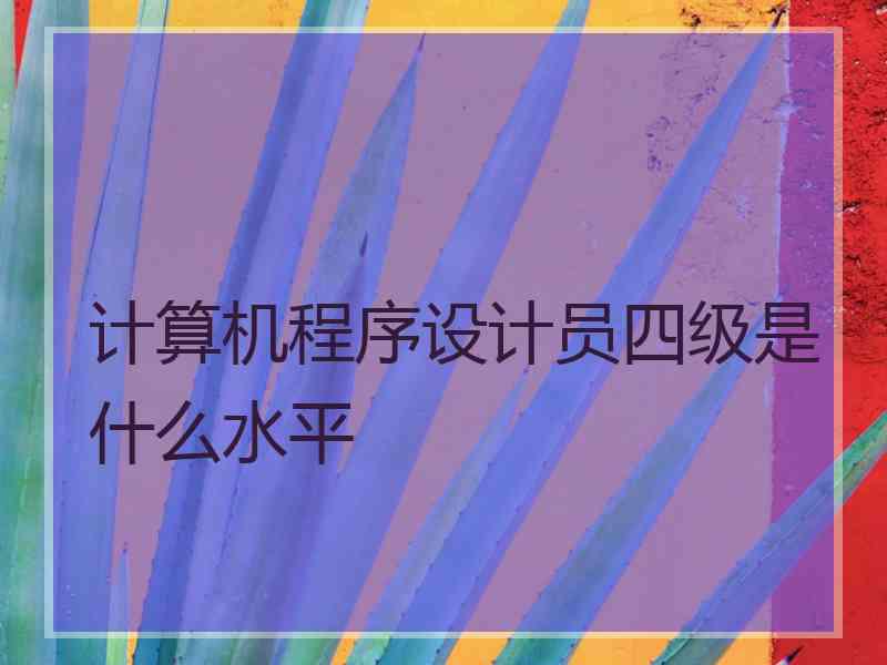 计算机程序设计员四级是什么水平