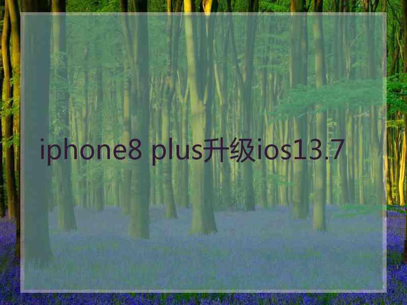 iphone8 plus升级ios13.7