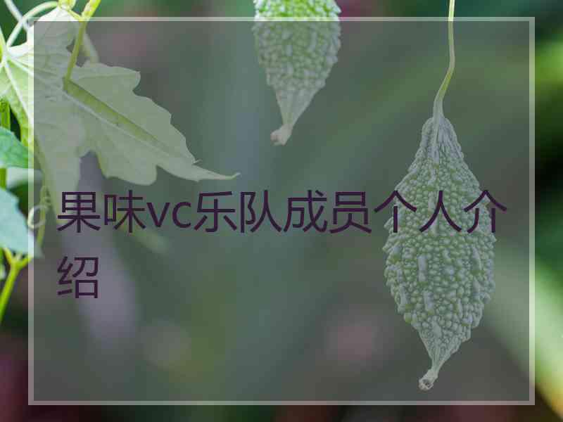 果味vc乐队成员个人介绍